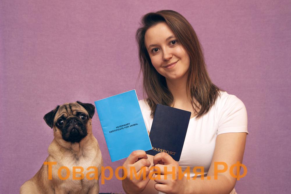 ветеринарный паспорт на собаку