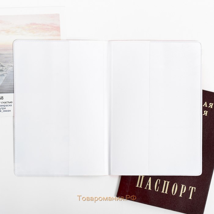 Обложка на паспорт ПВХ «Котопаспорт»