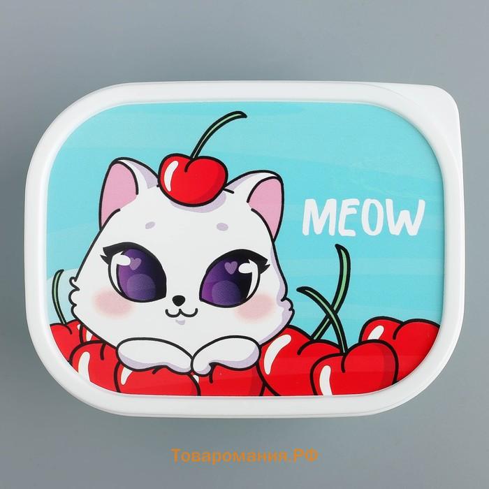 Ланч-бокс «Meow», 500 мл