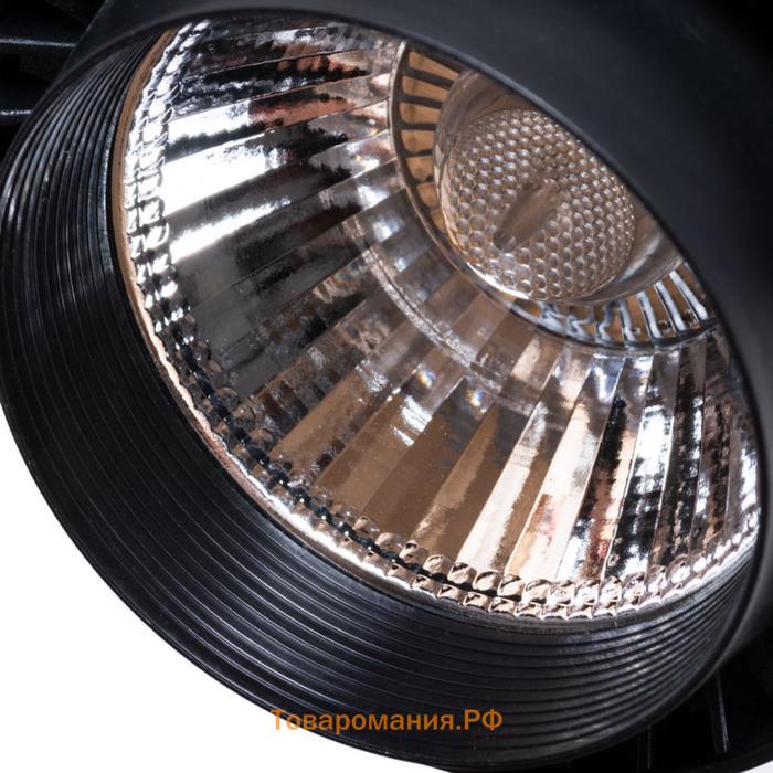 Светильник трековый VIGILE, 10Вт LED, 4000К, 800лм, цвет чёрный
