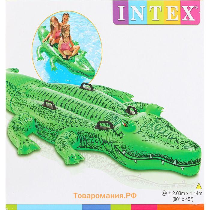 Игрушка для плавания INTEX «Аллигатор» 58562NP, с ручками, 203×114 см, от 3 лет