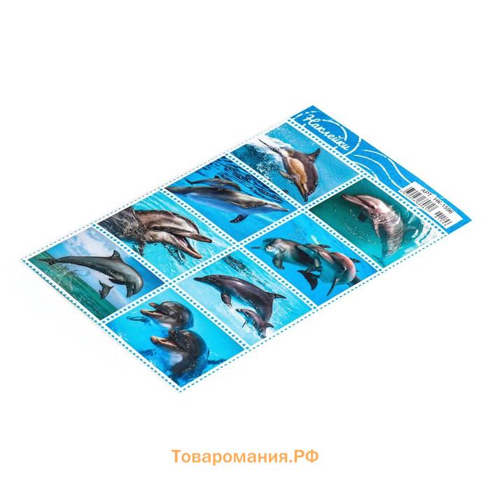 Декоративные наклейки "Дельфины" 16х10 см