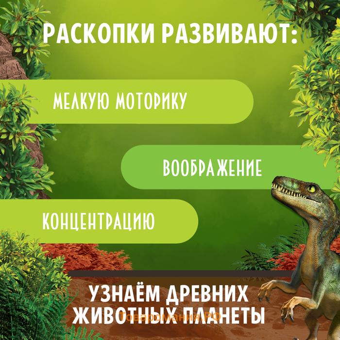 Набор для раскопок «Эпоха динозавров»