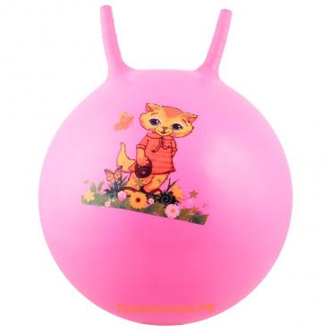 Мяч-прыгун с рожками ZABIAKA «Сказочные истории», d=55 см, 420 г, цвет МИКС